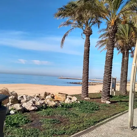 Monica كوارتيرا